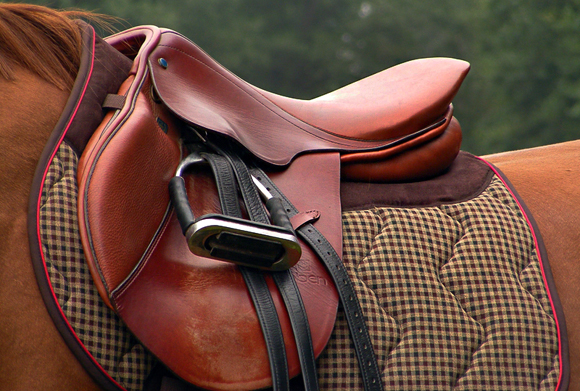 Red saddle on the brown horse back
